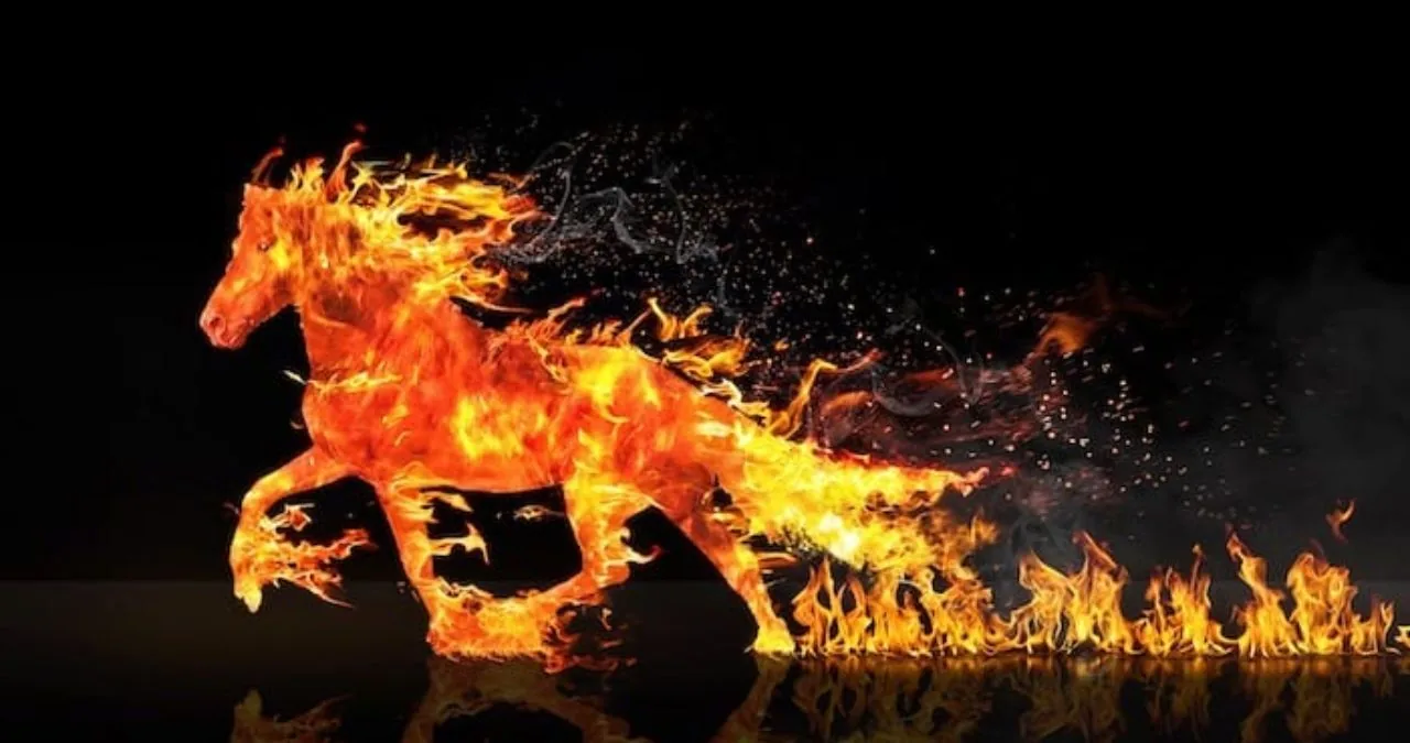 2026 year of the Fire Horse